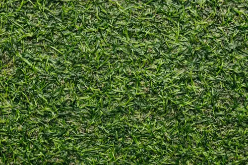 Grosseto, erba sintetica gratuita dal campo di via Australia: come fare domanda