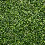 Grosseto, erba sintetica gratuita dal campo di via Australia: come fare domanda