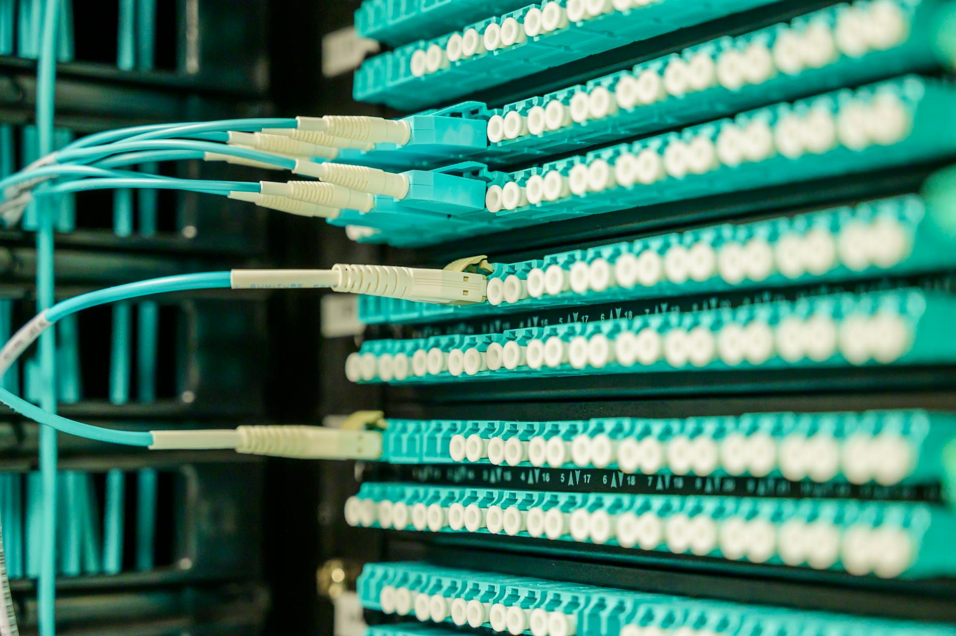 Grosseto, il Comune raccoglie segnalazioni sui problemi di connettività