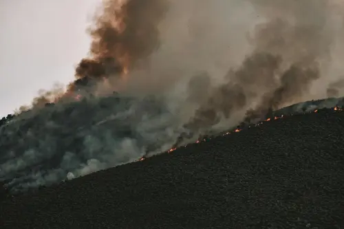 Grosseto, entro il 31 maggio obblighi anti-incendio per i terreni