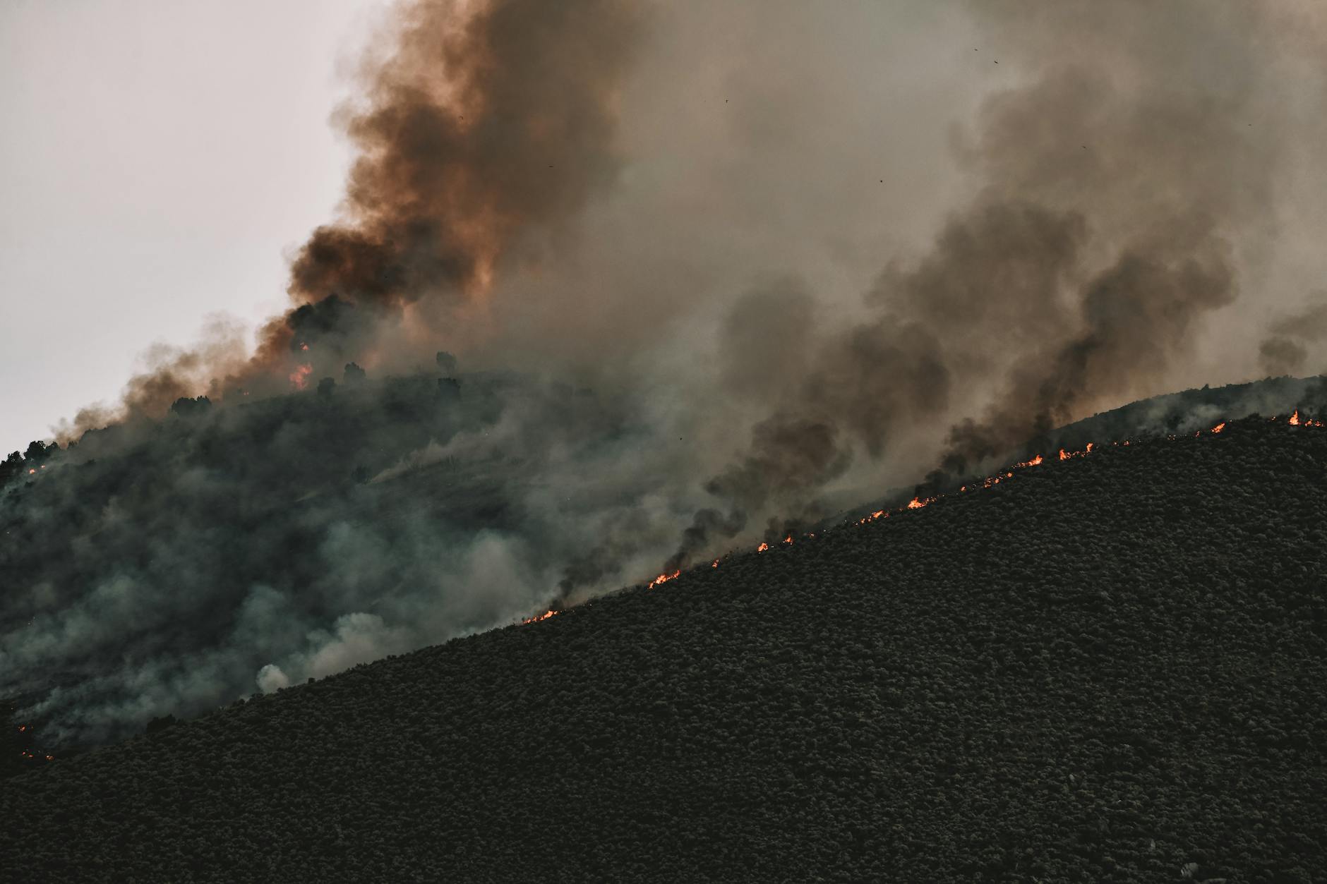 Grosseto, entro il 31 maggio obblighi anti-incendio per i terreni