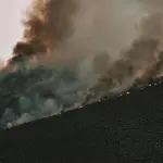 Grosseto, entro il 31 maggio obblighi anti-incendio per i terreni