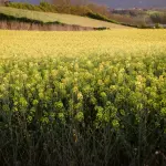 “I valori del biologico” al Madonnino: focus su salute, ambiente e sostenibilità