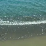 Principina a Mare, scatta il divieto temporaneo di balneazione