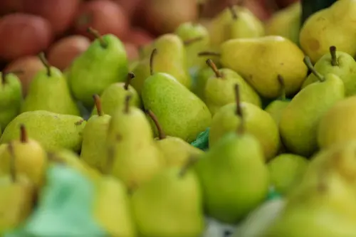 Mercati della filiera corta a Marina e Principina, via libera del Comune
