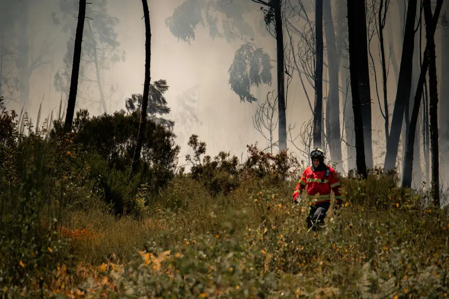 Grosseto, allerta arancione per incendi boschivi il 7 giugno