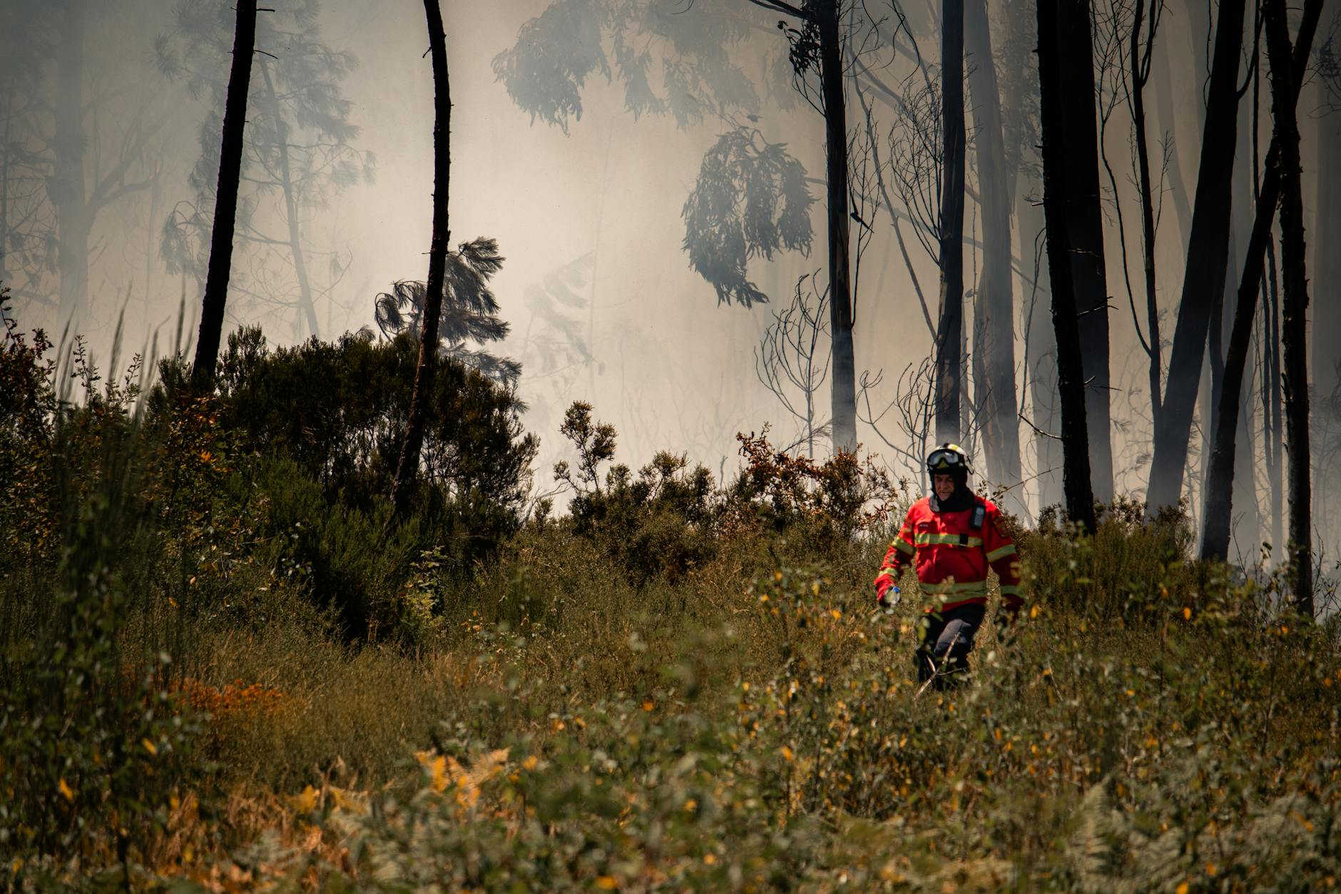Grosseto, allerta arancione per incendi boschivi il 7 giugno