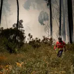 Grosseto, allerta arancione per incendi boschivi il 7 giugno