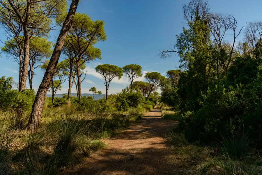 Parco della Maremma: storia dell'area protetta
