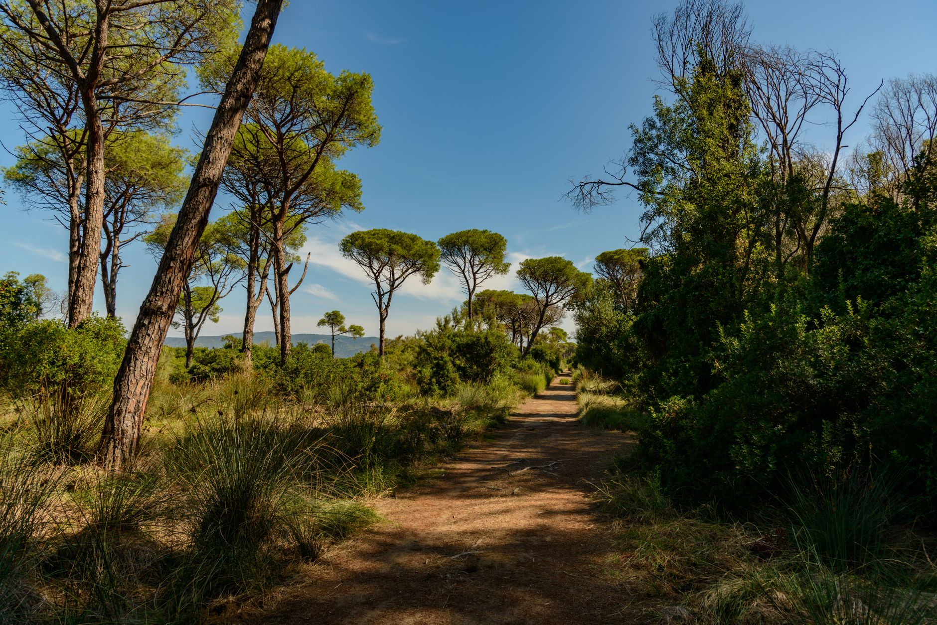 Parco della Maremma: storia dell'area protetta