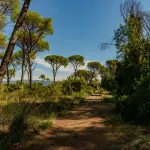 Parco della Maremma: storia dell'area protetta