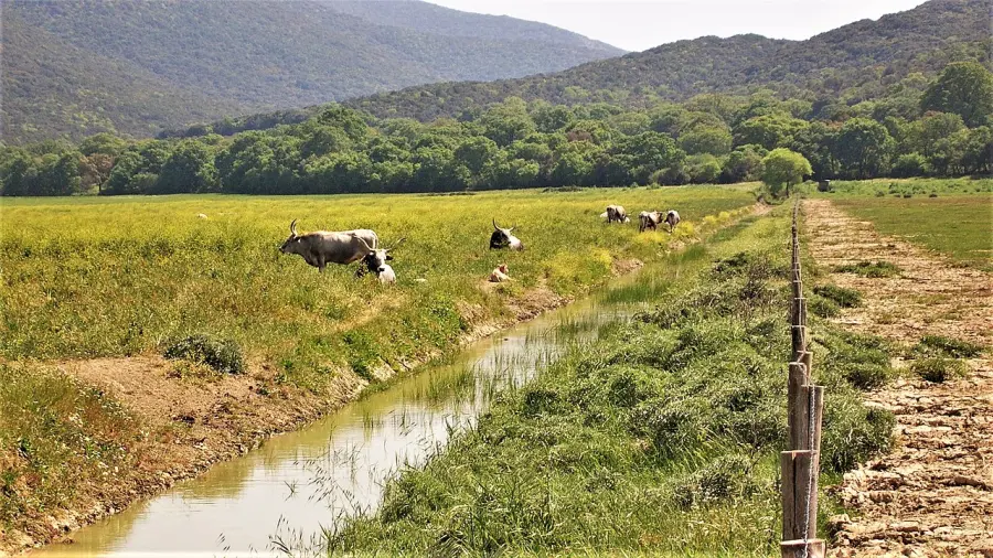 I borghi più affascinanti della Maremma da visitare