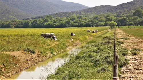 I borghi più affascinanti della Maremma da visitare