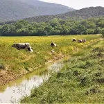 I borghi più affascinanti della Maremma da visitare