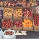 Commercio su aree pubbliche: approvata la graduatoria provvisoria per la vendita di alimenti confezionati