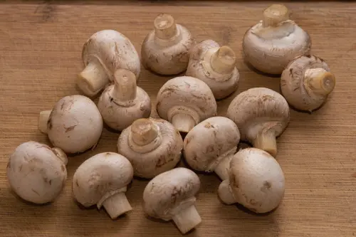 Come cucinare i funghi champignon: ricette semplici e consigli pratici