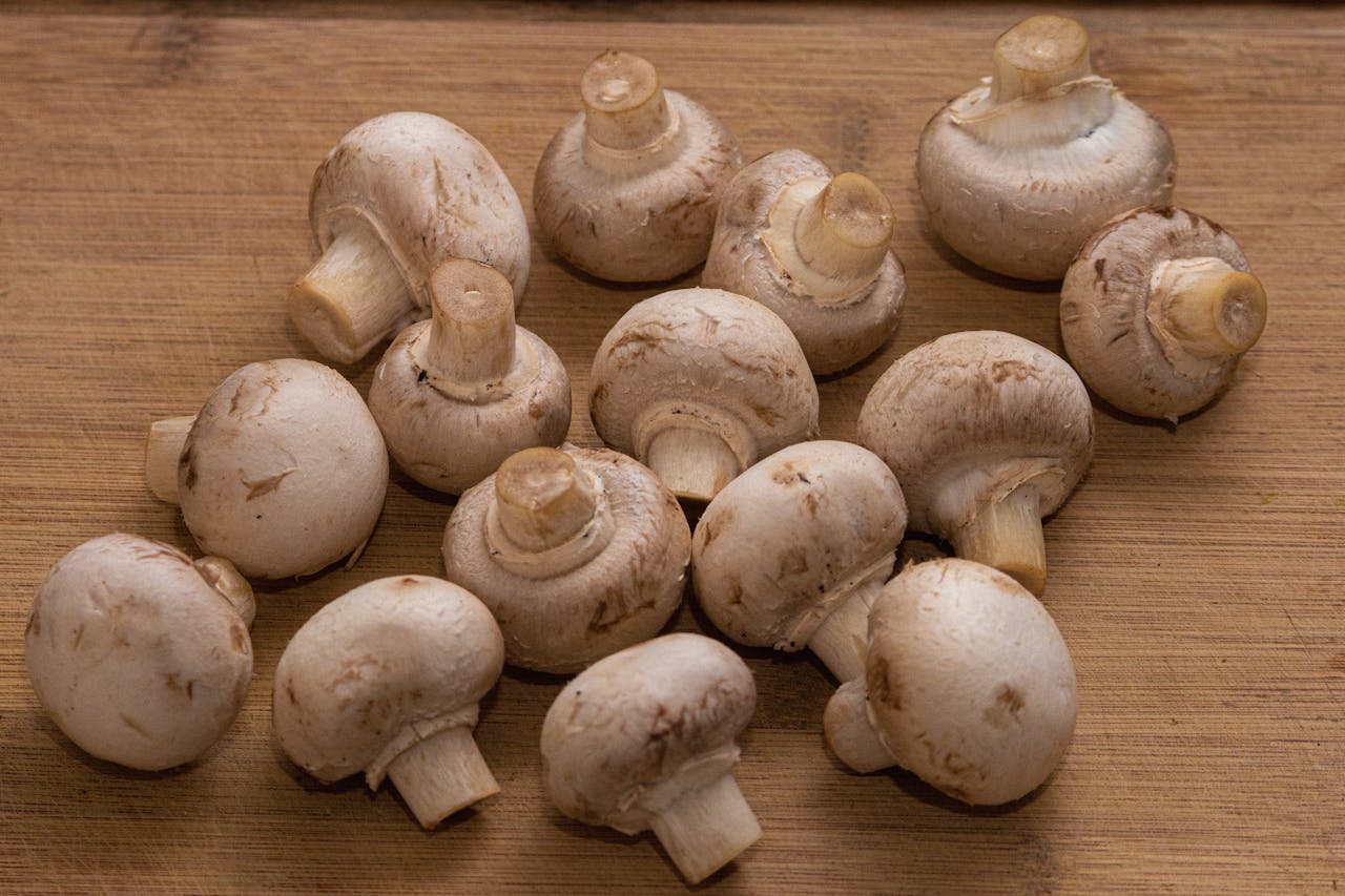 Come cucinare i funghi champignon: ricette semplici e consigli pratici