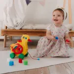 Grosseto, approvate le graduatorie definitive per le scuole dell’infanzia comunali 2026/27